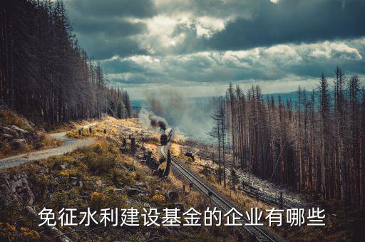 什么企業(yè)需交地方水利建設基金，免征水利建設基金的企業(yè)有哪些