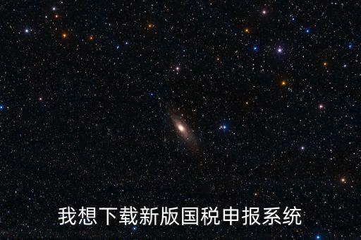 新疆國(guó)稅報(bào)稅什么系統(tǒng)下載，我想下載新版國(guó)稅申報(bào)系統(tǒng)