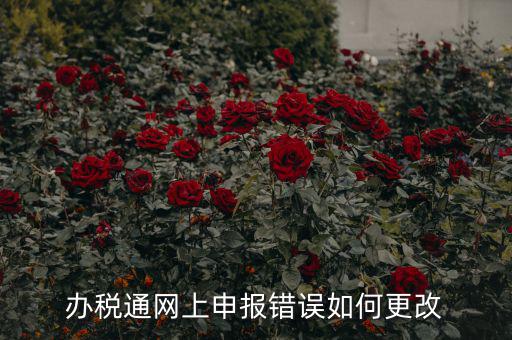 更改辦稅人什么網(wǎng)站，國(guó)稅變更財(cái)務(wù)人員在哪里變更稅控盤上可以更改嗎