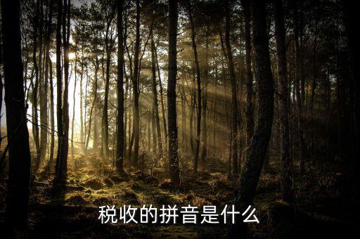 稅收三字經(jīng)是什么，什么是稅收