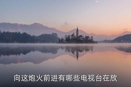 向這炮火前進(jìn)有哪些電視臺在放