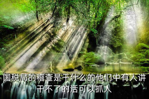 國(guó)稅局稽查局什么工作，國(guó)稅局稽查局工作是干什么