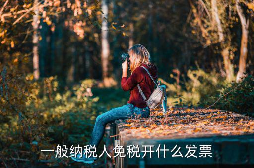 一般納稅人領(lǐng)什么票，一般納稅人免稅開什么發(fā)票