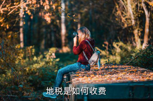 地稅是按什么月租收費(fèi)，地稅是如何收費(fèi)