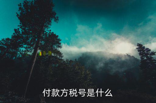 稅務所號是什么，繳稅賬號類型是什么