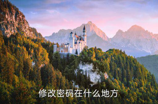 國稅網(wǎng)站更改密碼在什么地方，修改密碼在什么地方