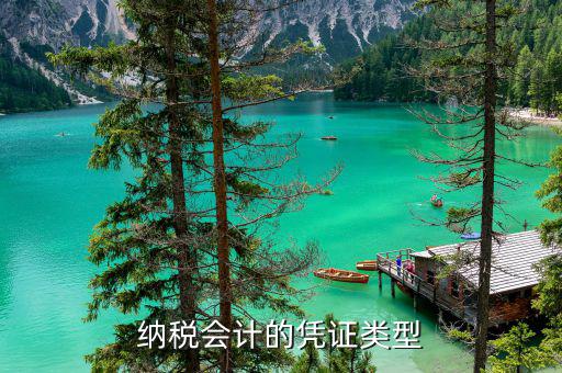 應(yīng)納稅憑證種類是什么意思，總賬里關(guān)于記賬憑證的種類和號數(shù)是什么意思