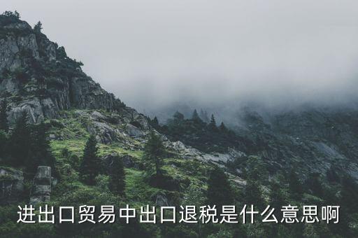 什么是增值稅出口退稅，出口退稅指的是什么