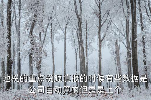 為什么重點(diǎn)稅源是上個(gè)月的數(shù)據(jù)，地稅的重點(diǎn)稅源填報(bào)的時(shí)候有些數(shù)據(jù)是公司自動(dòng)算的但是是上個(gè)