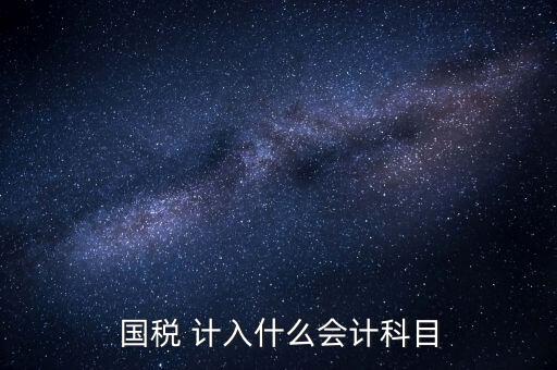 國稅申報記入什么科目，付國稅應計入什么科目求解啊