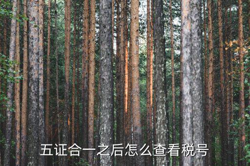 五證合一后納稅人識別號是什么，五證合一之后怎么查看稅號
