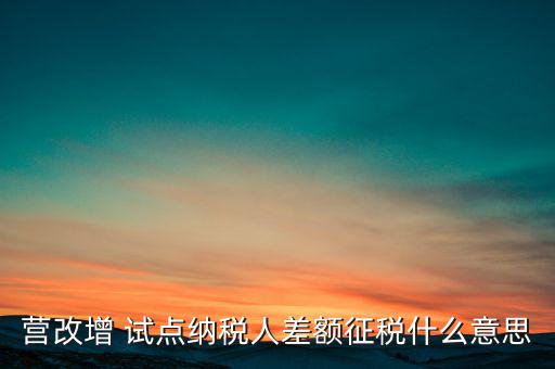 什么是營(yíng)改增試點(diǎn)納稅人，什么是試點(diǎn)納稅人試點(diǎn)納稅人是什么意思