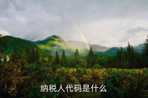 個(gè)人納稅人代碼是什么，納稅人代碼是什么