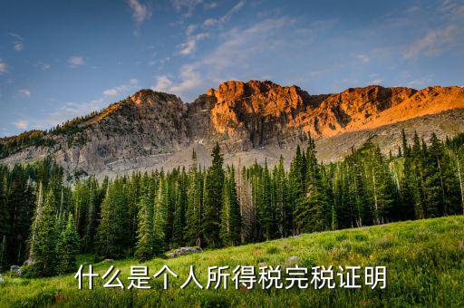 個人所得稅完稅是什么，招聘時說的稅后這個稅是指的什么