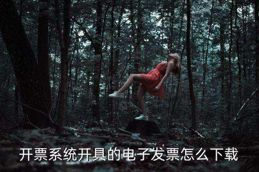 江蘇用什么開票系統(tǒng)下載，普通發(fā)票開票系統(tǒng)下載