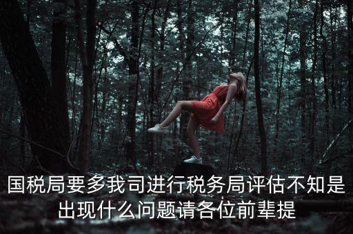 國(guó)稅評(píng)估局是干什么的，國(guó)稅局是做什么的說簡(jiǎn)單點(diǎn)兒吧謝謝