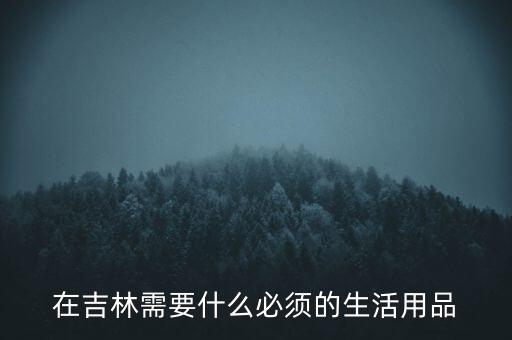 辦吉林通得帶什么，在吉林需要什么必須的生活用品