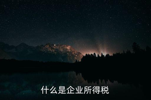 企業(yè)所得稅是什么，所得稅是什么