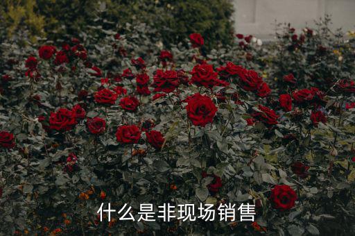 什么是非現(xiàn)場(chǎng)消費(fèi)食品，什么是非現(xiàn)場(chǎng)消費(fèi)的食品