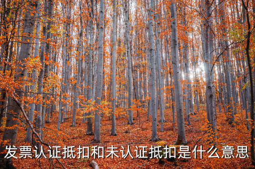 稅收抵免是什么，出口免稅是什么意思