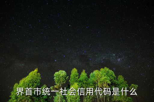 統(tǒng)一社會信用代碼指什么，深圳碼統(tǒng)一社會信用代碼是什么