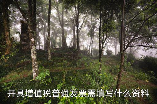 普通發(fā)票需要填什么資料，開(kāi)具增值稅普通發(fā)票需填寫(xiě)什么資料