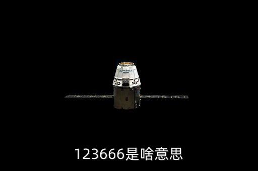 12366數(shù)字代表什么，12366納稅服務(wù)熱線 這幾個(gè)數(shù)字 有特殊的意義請問誰知道它們分