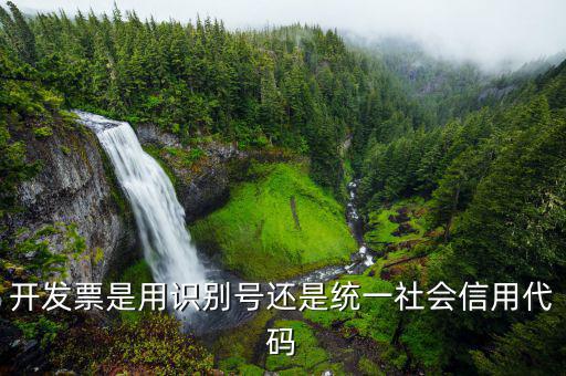 發(fā)票統(tǒng)一社會(huì)信用代碼是什么意思，開發(fā)票是用識(shí)別號(hào)還是統(tǒng)一社會(huì)信用代碼
