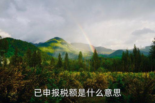 申報出現(xiàn)在什么，教師資格證認(rèn)定網(wǎng)上申報出現(xiàn)object是什么情況