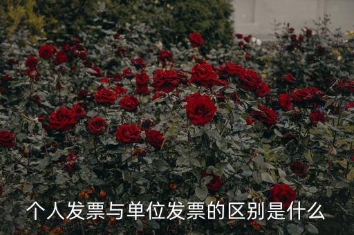 個(gè)人發(fā)票有什么內(nèi)容，個(gè)人發(fā)票與單位發(fā)票的區(qū)別是什么