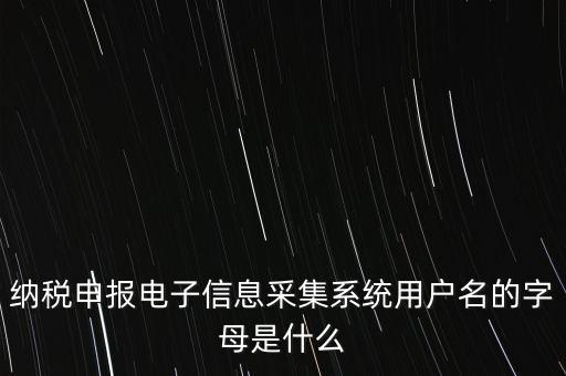 江蘇國(guó)稅電子稅務(wù)局登錄用戶名是什么意思，江蘇國(guó)稅網(wǎng)上辦稅服務(wù)廳的用戶名是什么