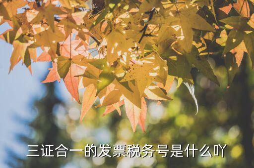 三證合一后的發(fā)票稅號(hào)是什么，三證合一的發(fā)票稅務(wù)號(hào)是什么吖