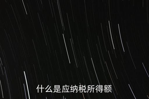 什么是年應(yīng)納稅所得額，什么是應(yīng)納稅所得額
