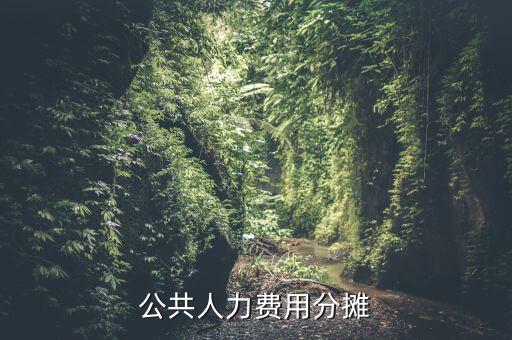 機(jī)關(guān)費(fèi)用按時(shí)什么分?jǐn)?，公共人力費(fèi)用分?jǐn)?/></a></span><span id=