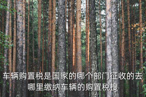 車購稅局屬于什么，車輛購置稅是國家的哪個部門征收的去哪里繳納車輛的購置稅搜