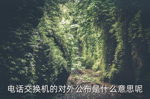 對(duì)外公開電話有什么，福建省廈門市湖里區(qū)人民法院對(duì)外公開號(hào)碼都有哪些