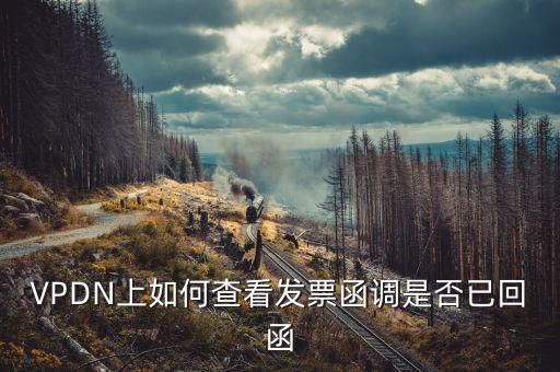 發(fā)票為什么會(huì)被復(fù)函，VPDN上如何查看發(fā)票函調(diào)是否已回函