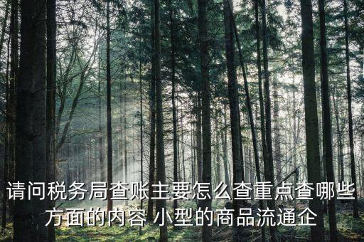 重點稅源稅務(wù)局看什么，稅務(wù)局主要看報表的什么