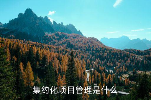 什么是納稅服務(wù)集約化，什么是財(cái)務(wù)集約化