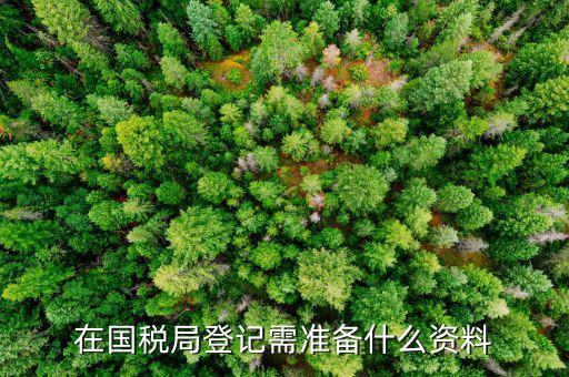 登記國(guó)稅需要什么手續(xù)，國(guó)稅登記需要帶什么資料