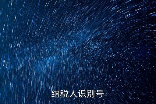五證合一納稅人識(shí)別號(hào)是什么，納稅人識(shí)別號(hào)是什么