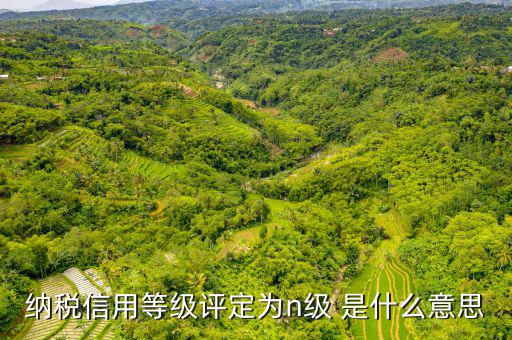 納稅信用等級(jí)b級(jí)是什么意思，納稅信用等級(jí)評(píng)定為n級(jí) 是什么意思