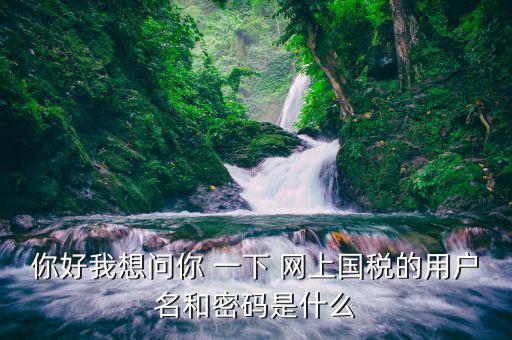浙江國稅登陸密碼是什么，稅務(wù)局網(wǎng)站的登入賬戶初始密碼是什么