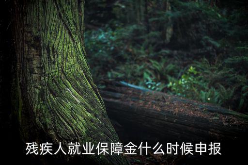 殘疾人保障金什么時(shí)候，殘疾人就業(yè)保障金怎么交什么時(shí)侯交會(huì)計(jì)分錄