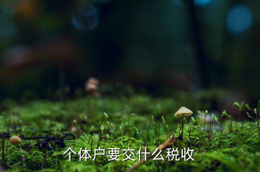 個體商戶納什么稅，個體戶要交什么稅收