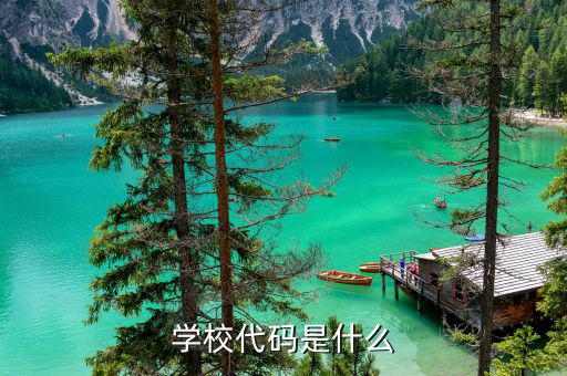 學(xué)校的社會信用代碼是什么意思，求助學(xué)校的統(tǒng)一社會信用代碼在哪查