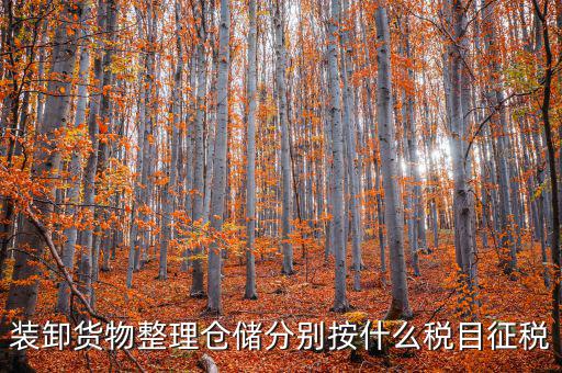 裝卸貨物整理倉儲(chǔ)分別按什么稅目征稅