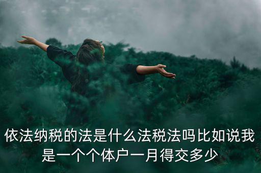 什么是依法納稅人，依法納稅的法是什么法稅法嗎比如說我是一個(gè)個(gè)體戶一月得交多少