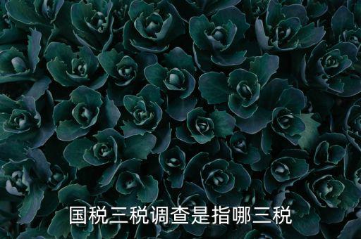 全國(guó)稅收調(diào)查是什么，全國(guó)稅收調(diào)查表中審核公式IFXXBB8 1 XXBB8 4