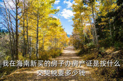 我在海南新買的房子辦房產證是按什么交契稅要多少錢